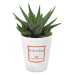 Bloempot personaliseren met design frame